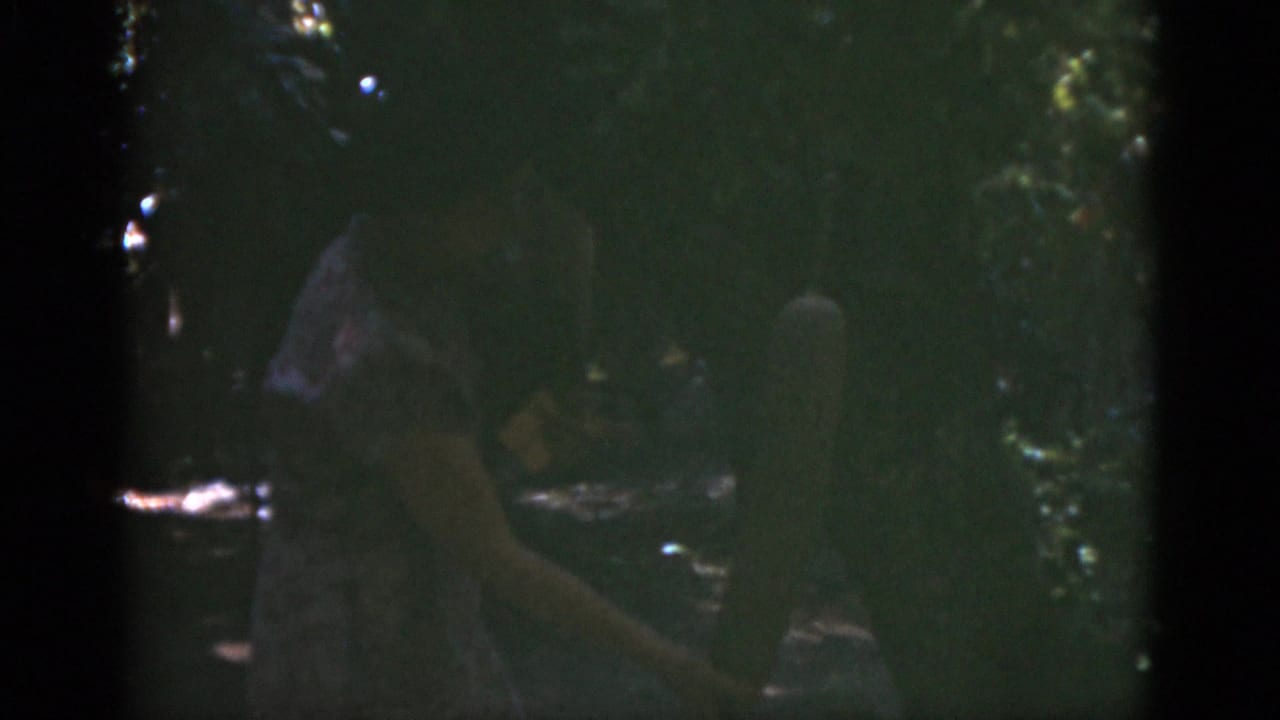 Dark, soft frame of a woman partly visible among dense garden foliage.