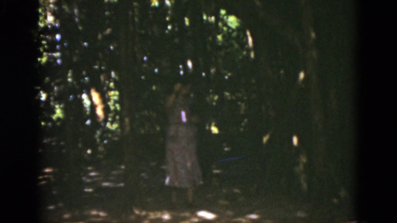 Woman in a light dress standing among dark sunlit trees.