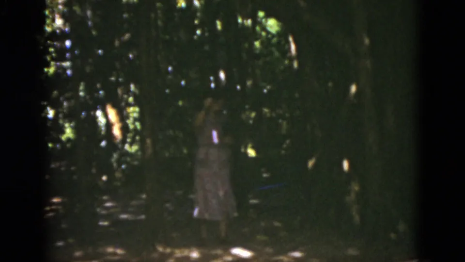 1975 Florida 8mm frame showing a woman in a light dress partly obscured by shade and foliage in a wooded area.