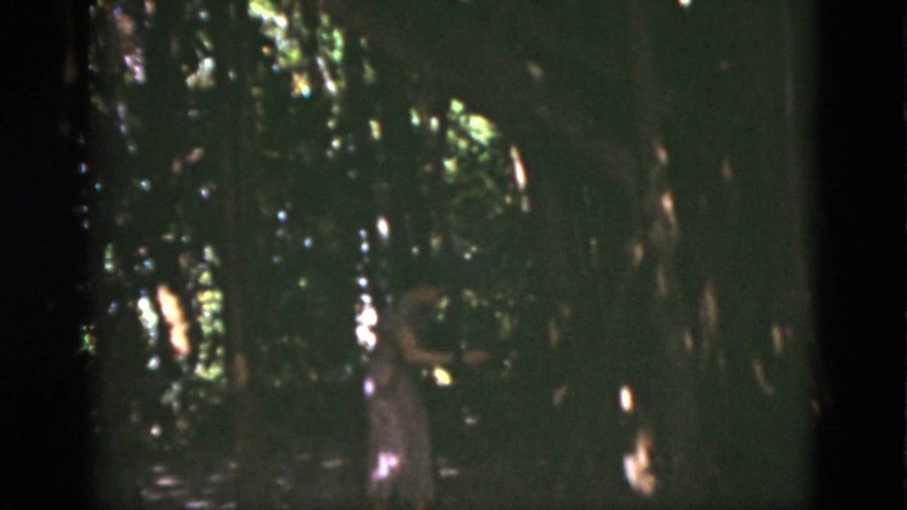 1975 Florida home-movie frame of a woman moving through dense woods under broken sunlight and heavy shade.