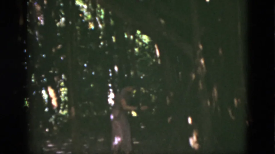1975 Florida home-movie frame of a woman moving through dense woods under broken sunlight and heavy shade.