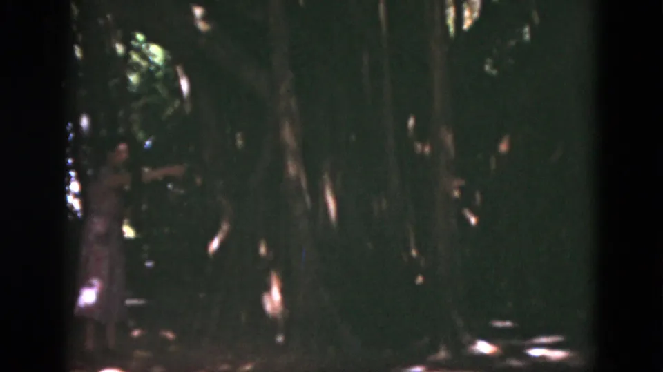 1975 Florida 8mm frame with a woman in a light dress partly obscured at the left edge of a dark, leafy wooded area.