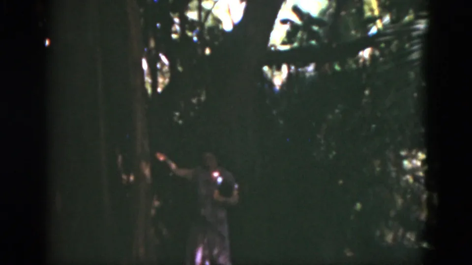 1975 Florida 8mm frame showing a woman in a light-colored dress among tall shaded trees, with bright leaves overhead and dense foliage around her.