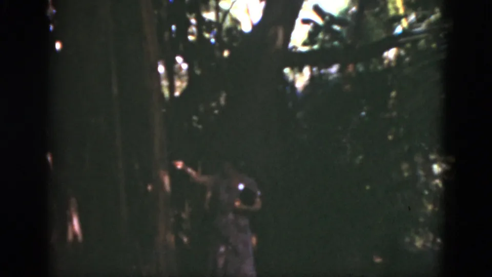 1975 Florida home-movie frame showing a woman in pink near a tree under dense, shadowed foliage.