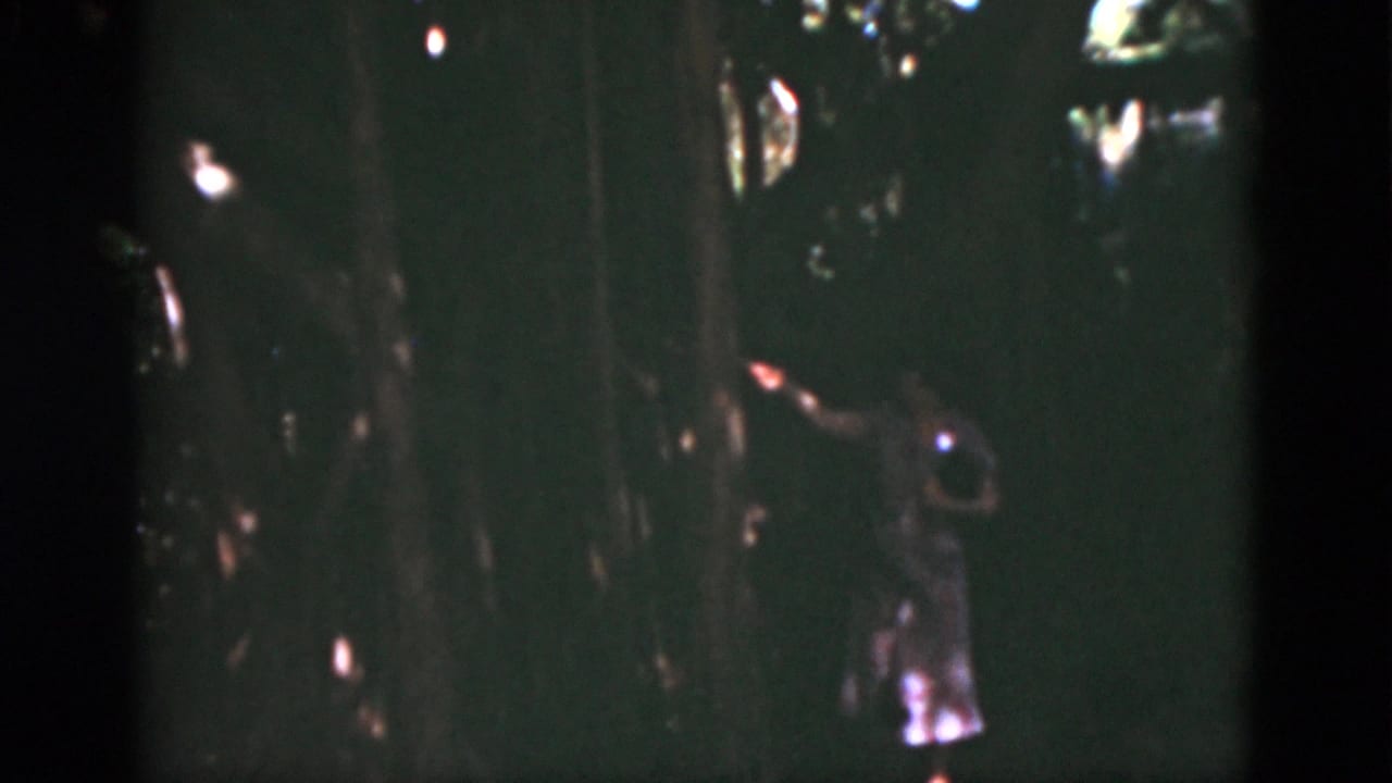 Woman in pink reaches toward a tree trunk among dark foliage.