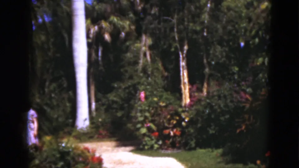 1975 Florida 8mm frame showing a lush garden path, tall palm trunks, flowering shrubs, lawn, and a partly visible woman at the left edge.
