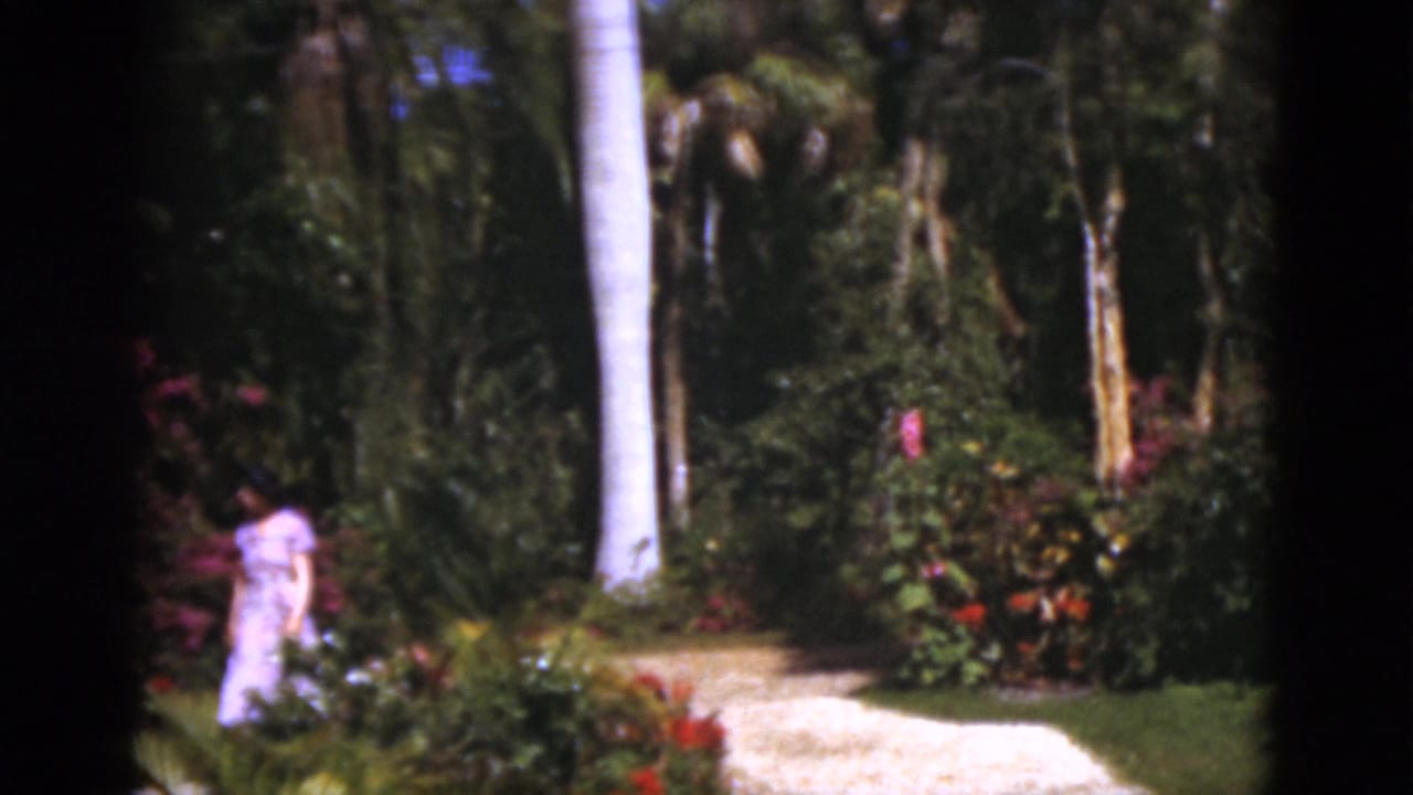 1975 Florida 8mm frame of a woman in a light pink dress walking through a tropical garden beside palms, shrubs, and a pale path.