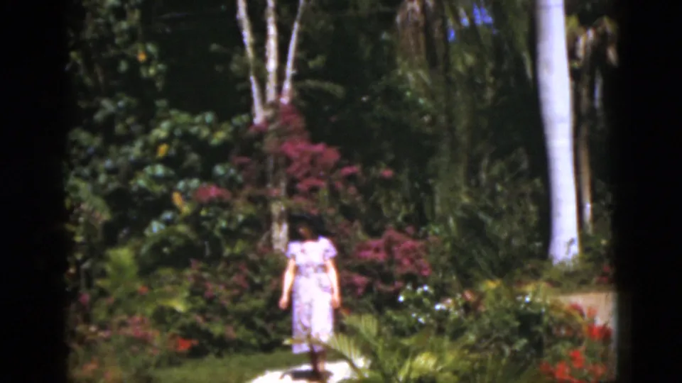 1975 Florida 8mm frame with the woman in a pink dress near dense garden plants, a lawn, tall palm trunks, and a pale sunlit path.