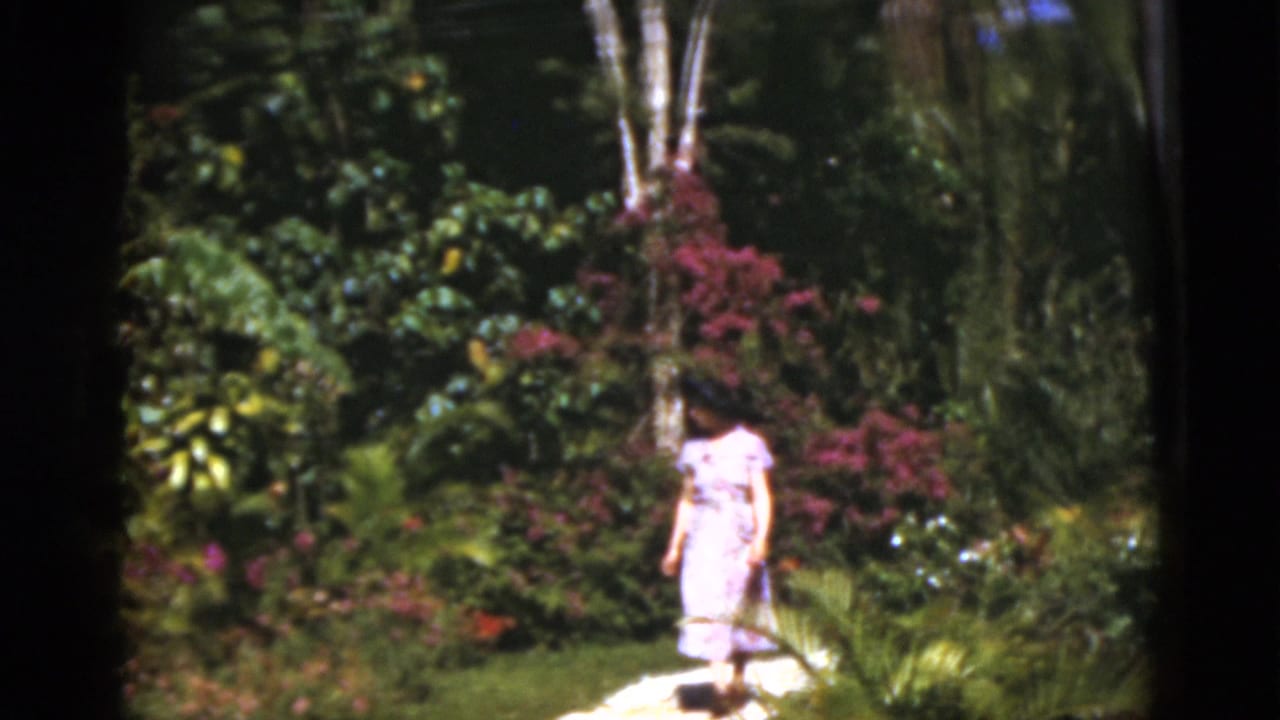 In 1975 Florida footage, a woman in a floral dress walks along a sunlit path bordered by palms and purple flowering shrubs.