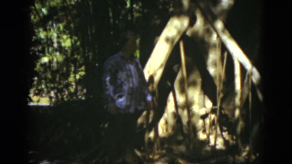 The final frame shifts away from the woman to a pale branching trunk and shadowed tropical planting within the same garden setting.