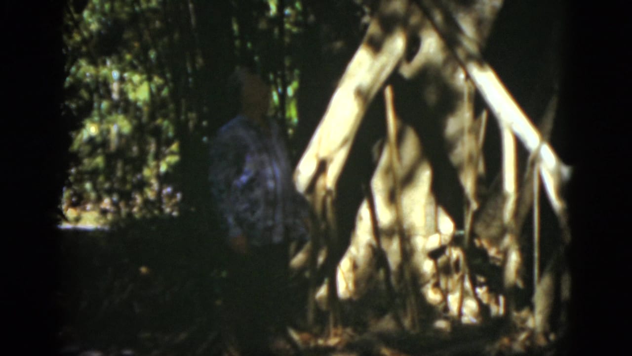 1975 Florida 8mm frame showing a person near a tan shelter or broad tree roots in a sun-dappled wooded area.