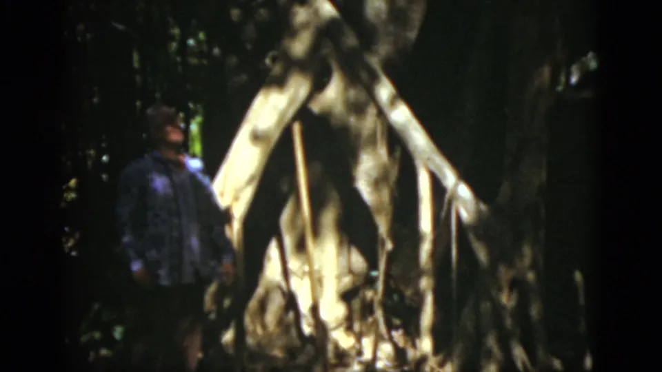 A person in a patterned shirt stands near a pale tan tent-like form beneath trees in 1975 Florida home-movie footage.