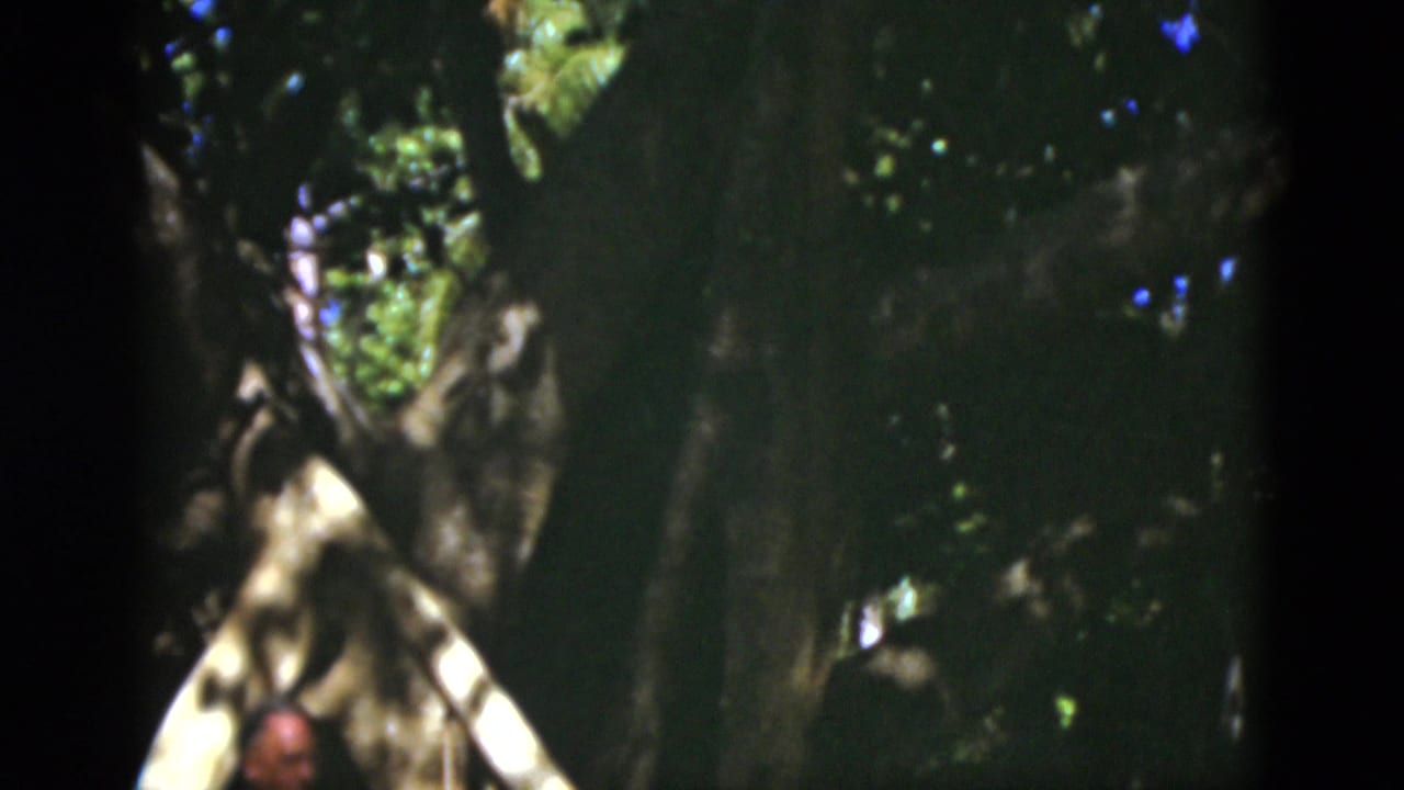 Man partly visible near trees and a pale tent-like form in dense shade.