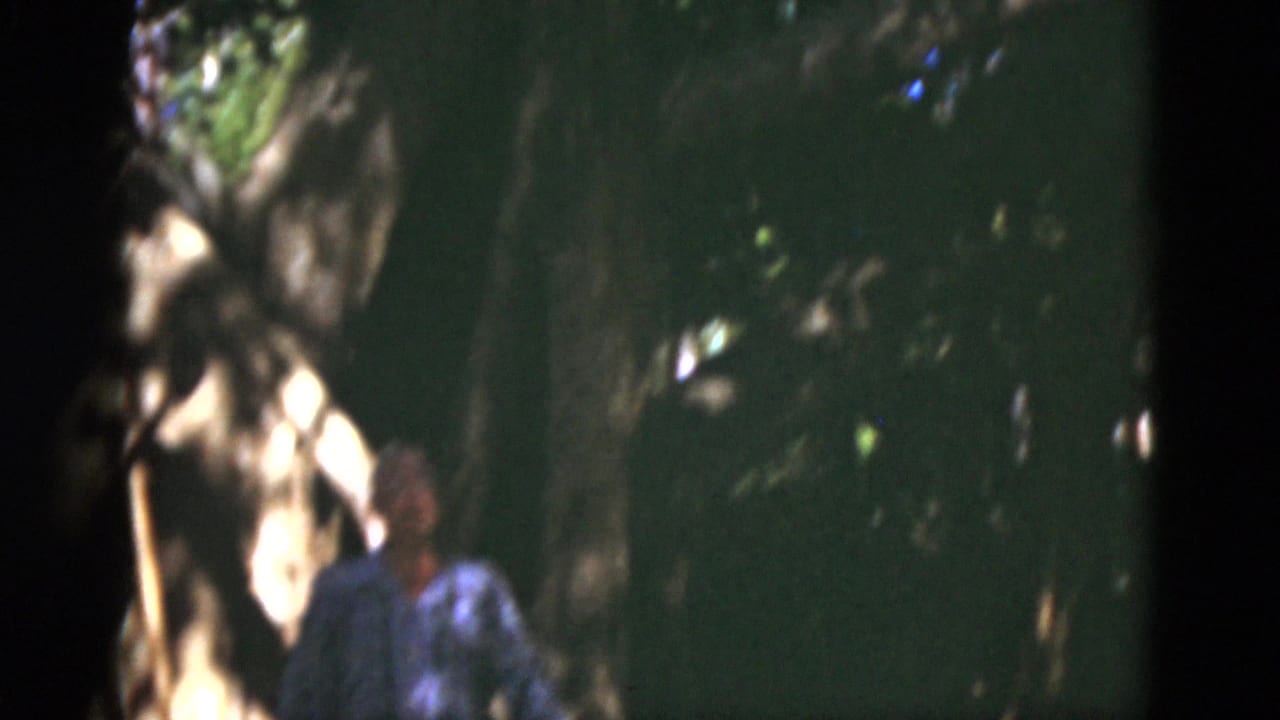 Man in a patterned shirt standing among dark trees and foliage.