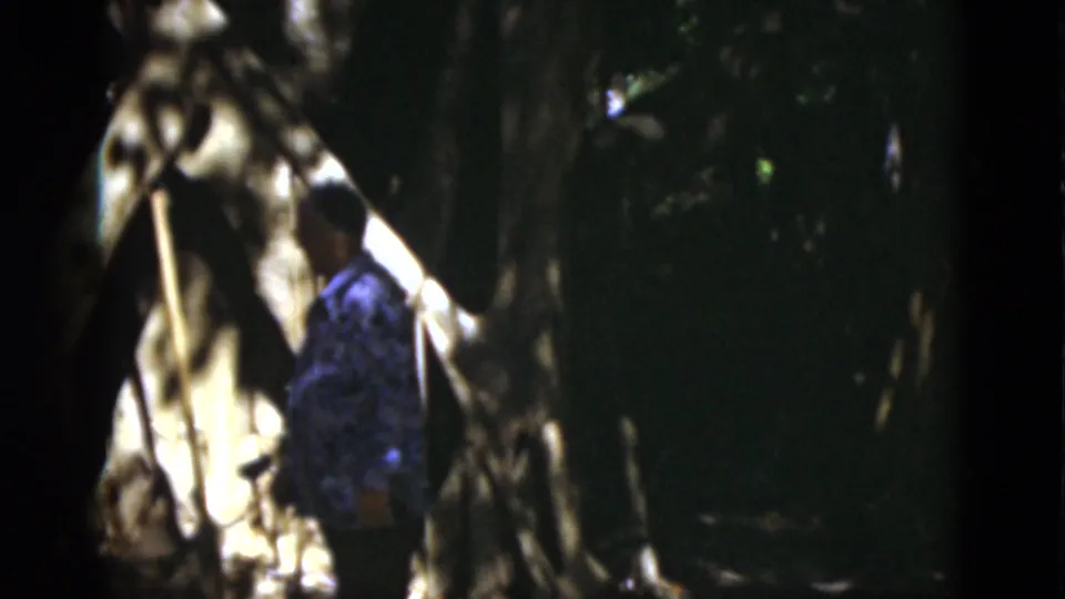 1975 Florida 8mm frame showing a man in a patterned shirt walking beside a large tree and pale tent-like form in wooded shade.