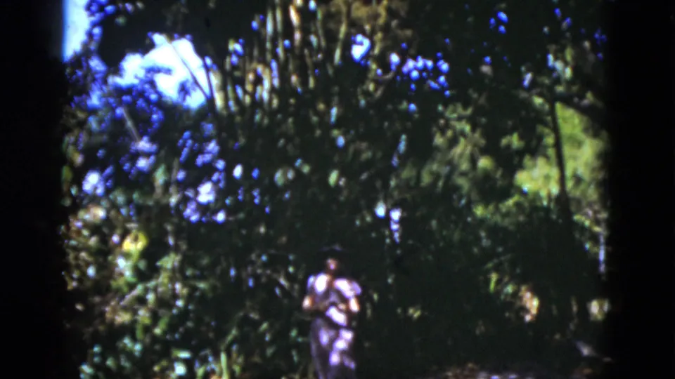 1975 Florida home-movie frame with a man standing at a distance in dense green woodland under speckled sunlight.