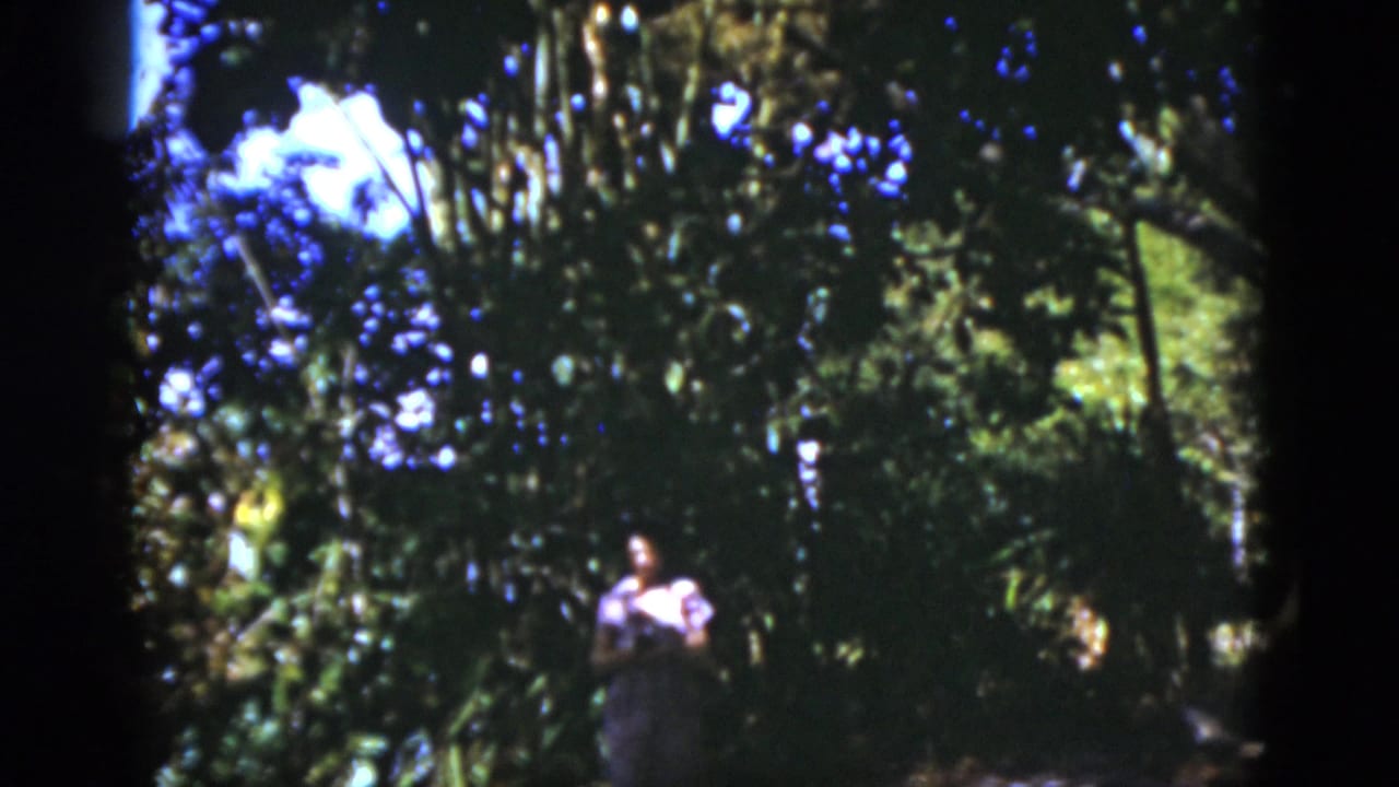 1975 Florida 8mm frame with a distant woman in shaded woods, surrounded by trunks, leaves, and dappled sunlight.