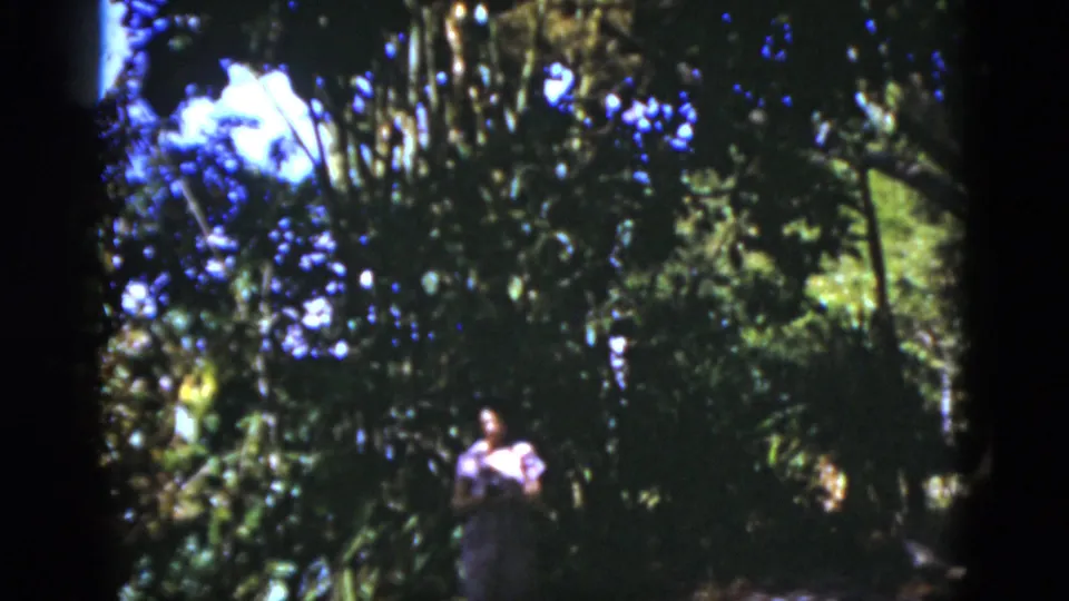 1975 Florida 8mm frame with a distant woman in shaded woods, surrounded by trunks, leaves, and dappled sunlight.
