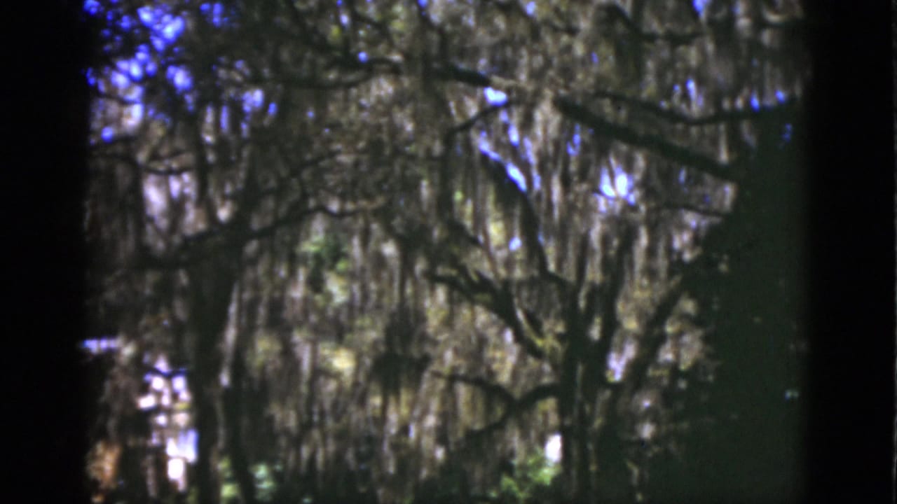 1975 Florida 8mm frame showing moss-draped trees, filtered sunlight, and a partly obscured pale garden structure.