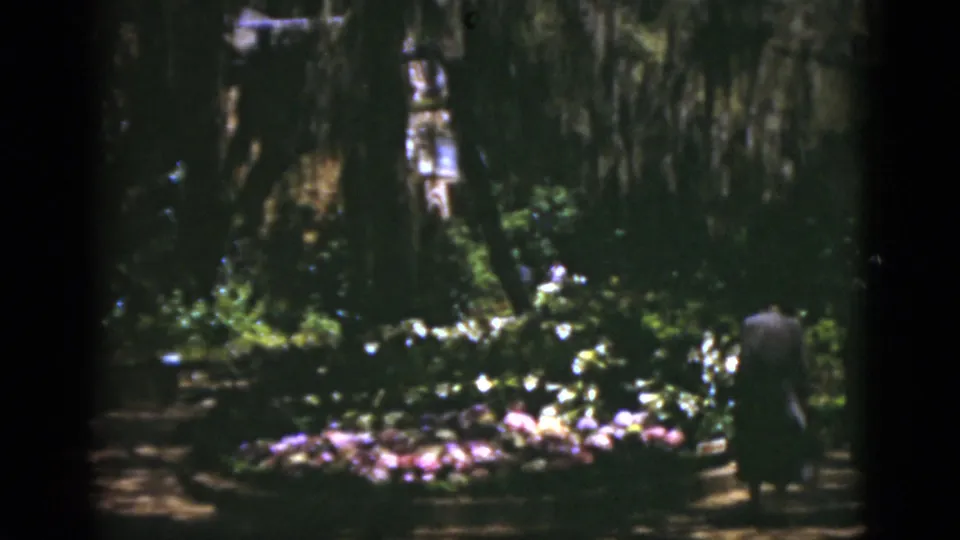 1975 Florida 8mm garden frame with pink and white flowers, mossy oaks, and a distant person walking along a path.