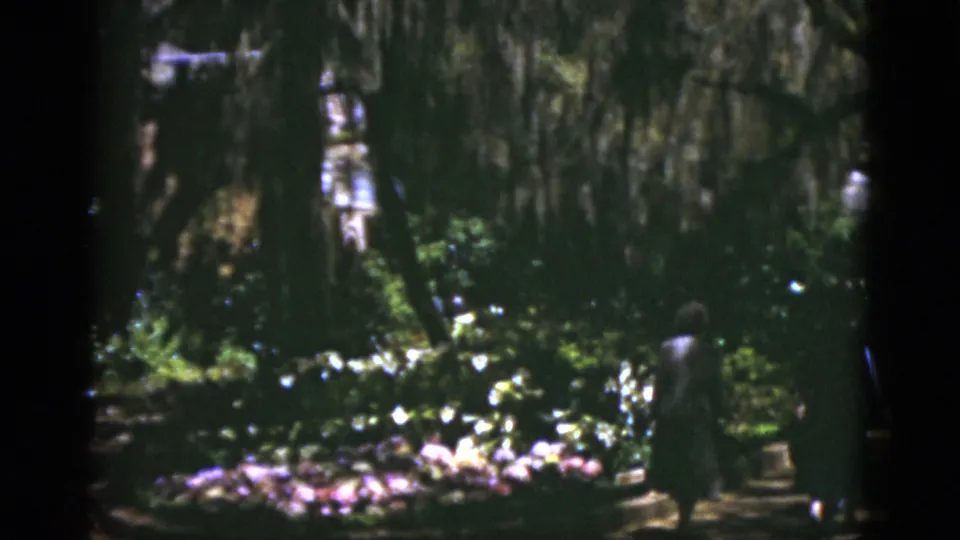 1975 Florida garden view with a distant walking figure, low flower bed, shaded path, and Spanish moss in the trees.