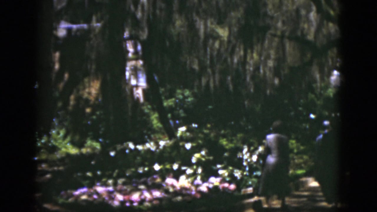 Shaded garden path with flowers, large trees, Spanish moss, and two adults walking away.