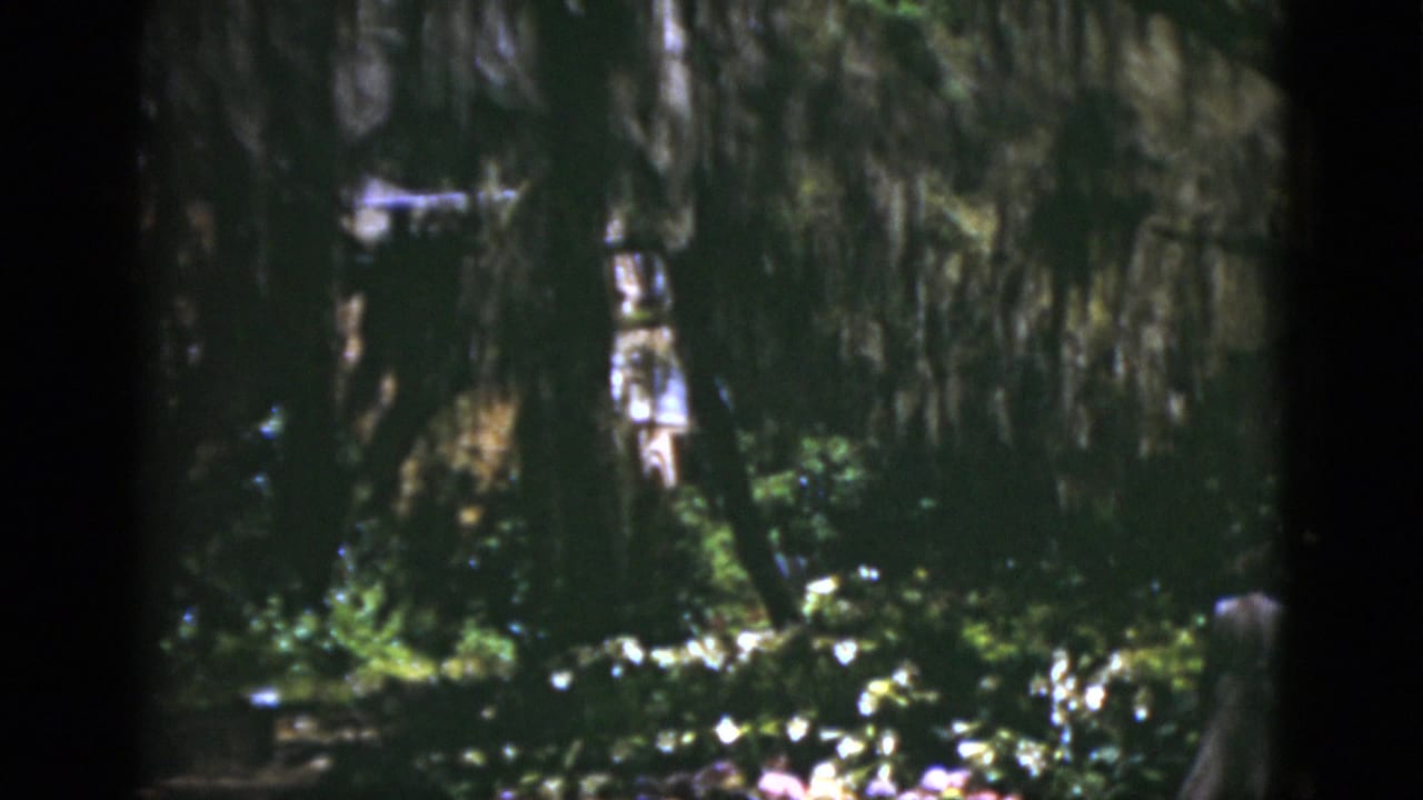 Florida garden scene on 8mm film, with distant adults moving through trees, moss, flowers, and heavy shade.
