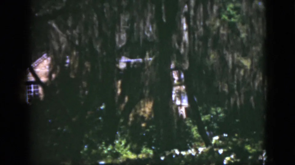 1975 Florida garden frame with a small cabin-like structure, shaded path, trees, Spanish moss, and flowering plants.