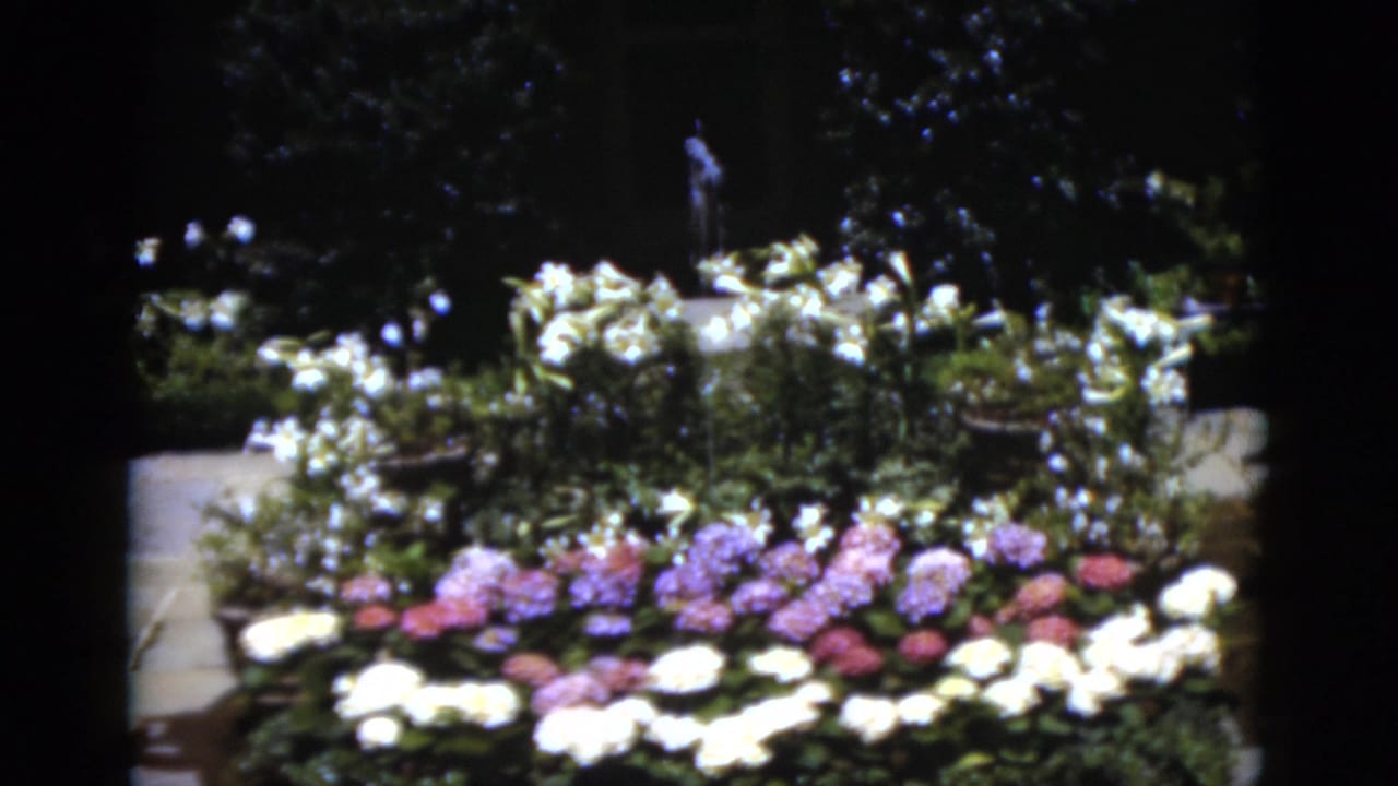 Flower bed with pink, purple, and white blooms surrounding a small fountain in deep shade.