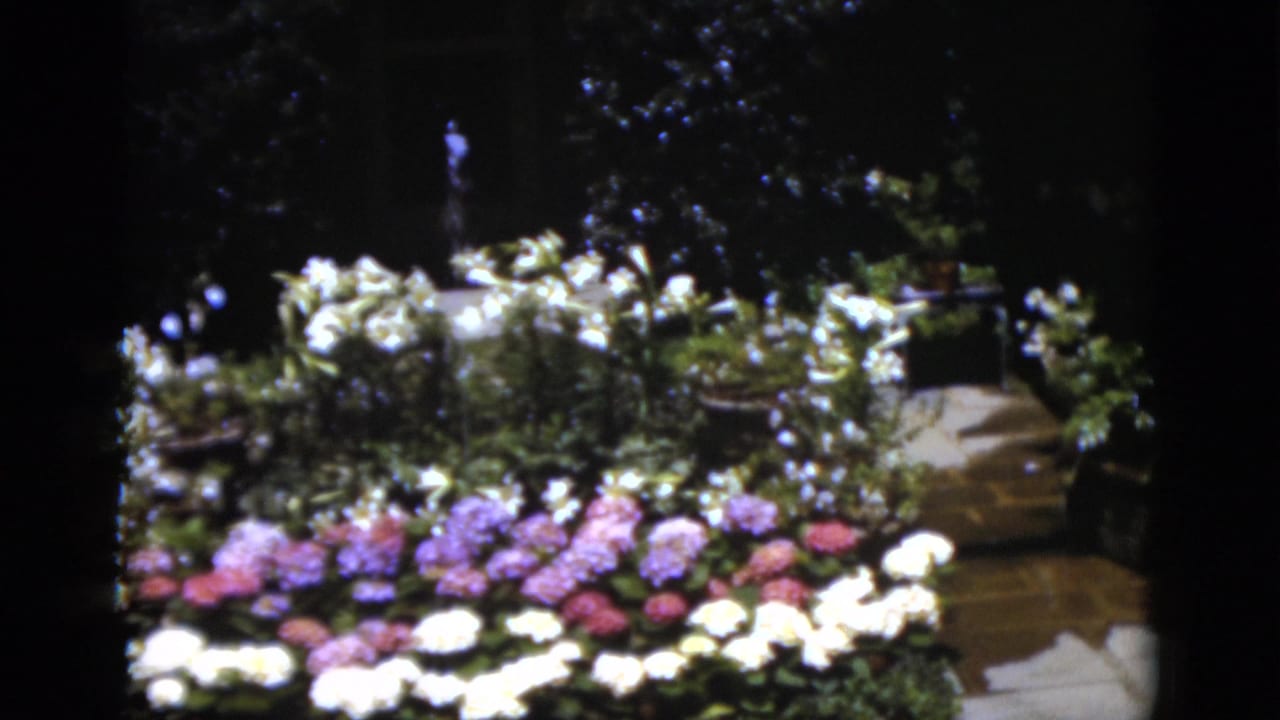 1975 Florida home-movie frame showing a tiered flower bed, white fountain spray, stone path, and dense green landscaping.