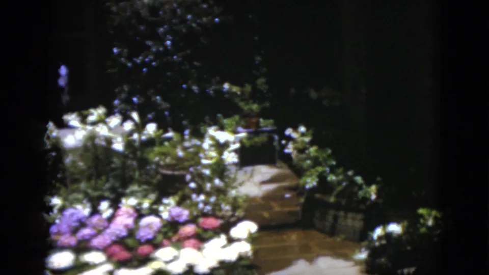 1975 Florida 8mm frame with colorful garden flowers in the foreground, a path to the right, and shaded foliage behind.