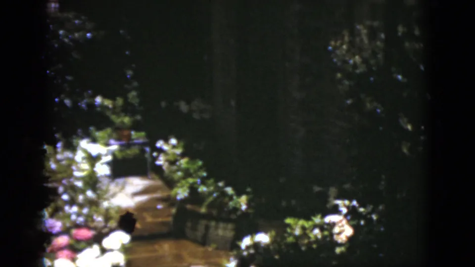 1975 Florida home-movie frame catching a dimmer section of the garden, with flowers, stone paving, planters, and heavy tree shade.