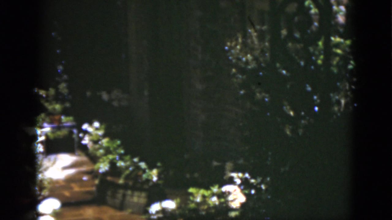 1975 Florida 8mm frame showing shaded garden greenery, a bright path, potted plants, and soft exposure falloff.