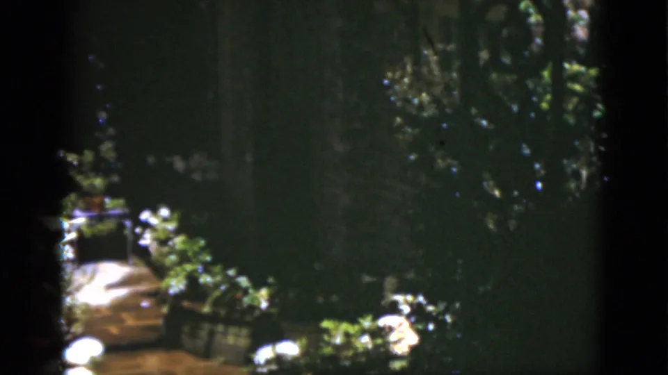 1975 Florida 8mm frame showing shaded garden greenery, a bright path, potted plants, and soft exposure falloff.