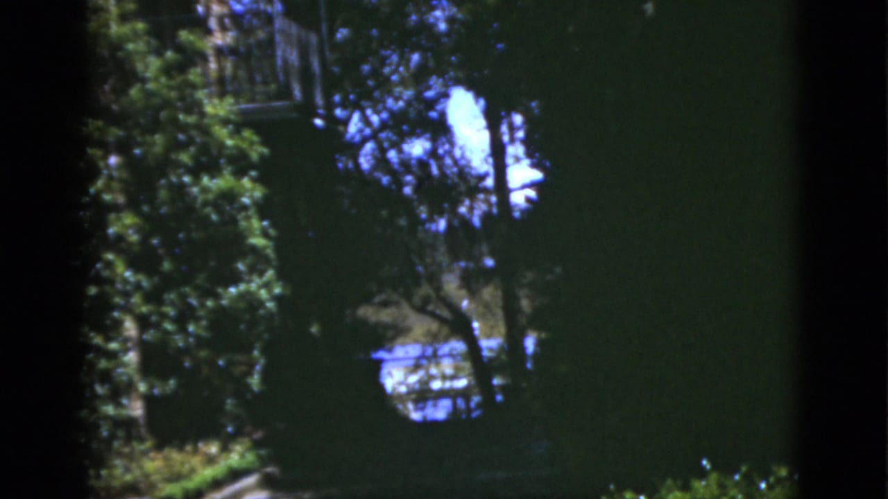 Leafy garden and house exterior seen through dark vertical obstruction.