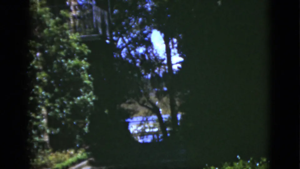 1975 Florida home-movie frame with dense greenery, a partial house wall, and a shaded window or balcony area glimpsed through dark edges.