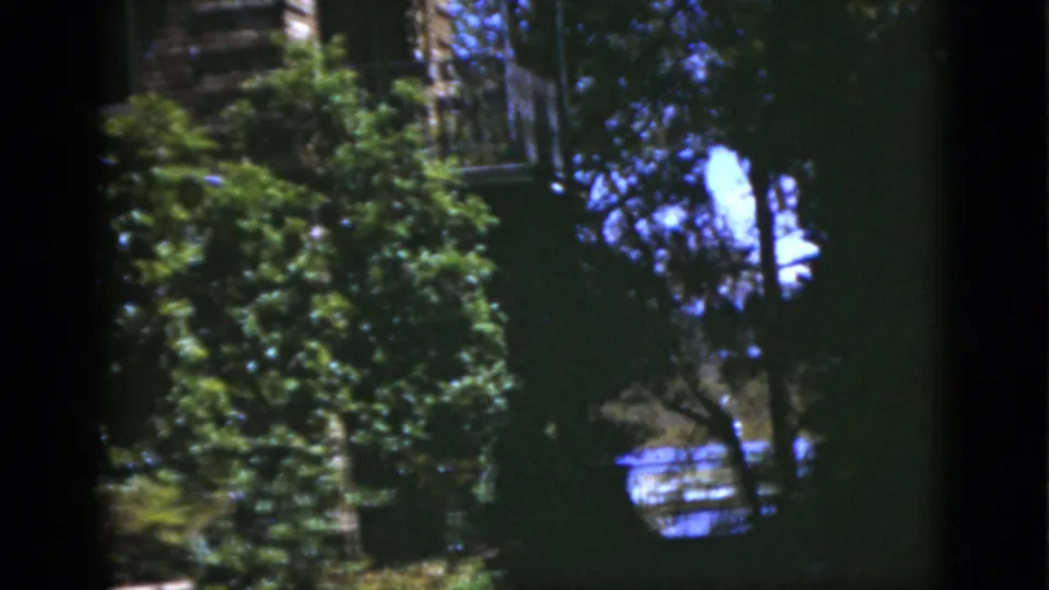 1975 Florida 8mm view of shrubs, trees, and a partly hidden old house exterior, with strong shadows and faded blue-green color.