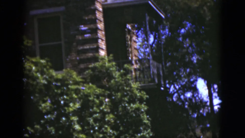 1975 Florida 8mm frame showing an upper brick wall, window, trees, and dense green vines in dappled light.