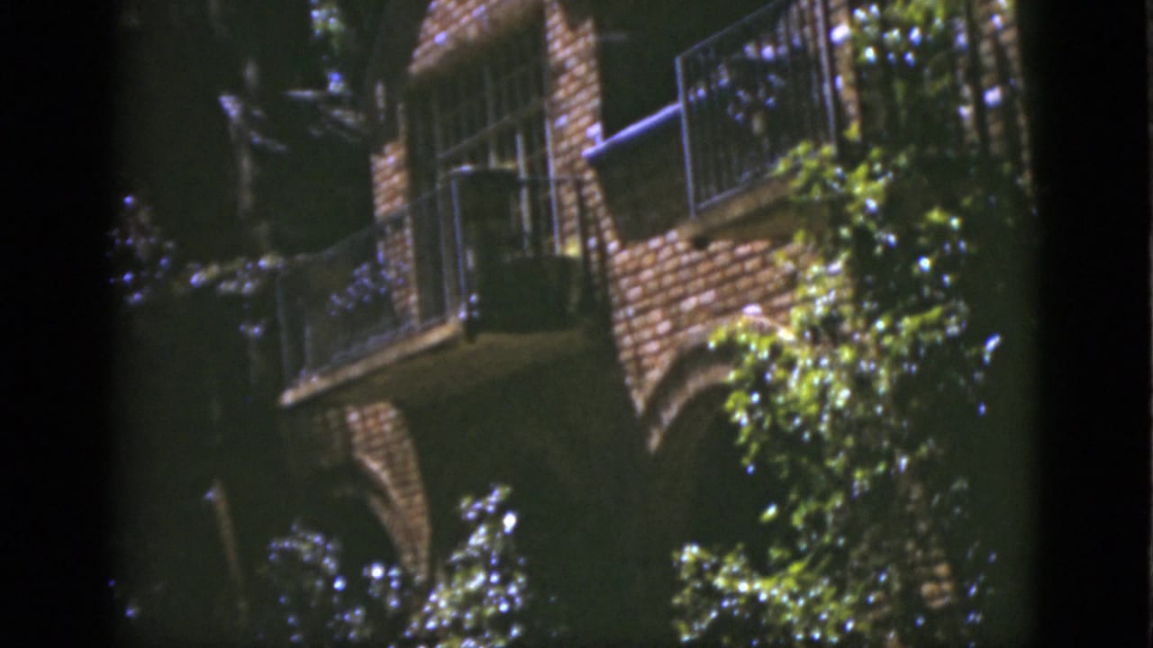 Brick wall with balcony railing partly covered by leafy plants in bright sun.