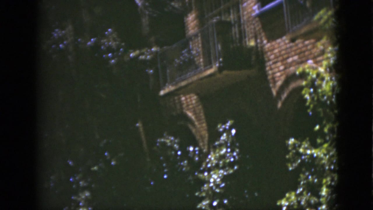 Soft 8mm view of a Florida brick building balcony partly obscured by tree shade and greenery.