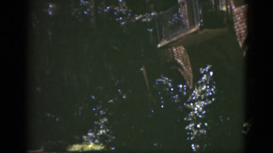 1975 Florida home-movie frame looking downward across foliage with a partial brick balcony and dappled light.