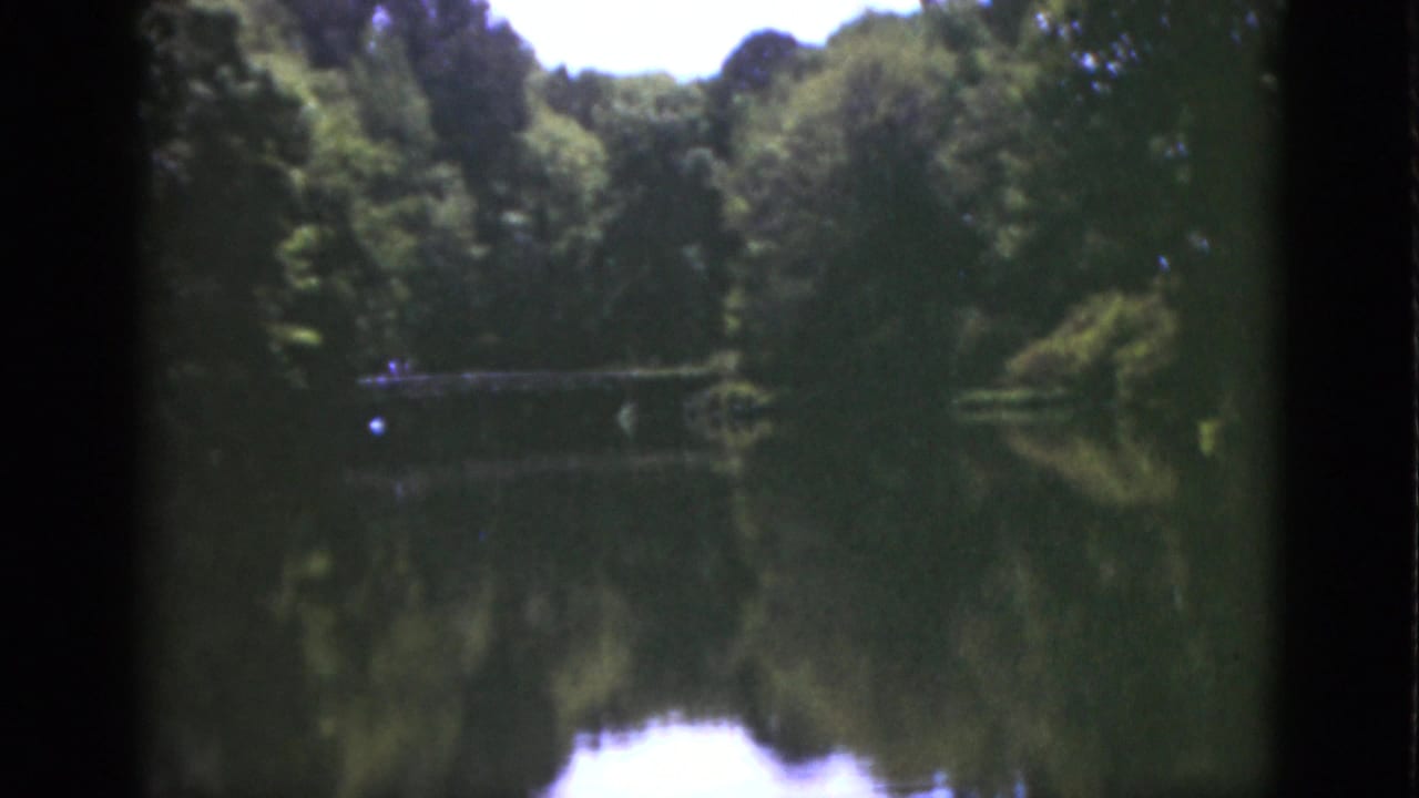 Calm lake bordered by dense green trees with reflections on the water.
