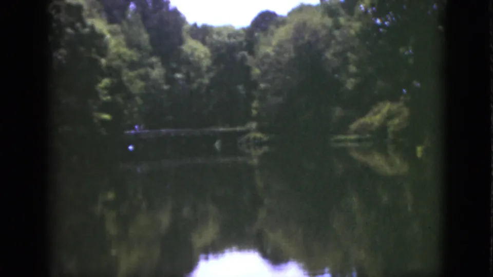 1951 Florida 8mm frame showing a quiet lake, tree-lined banks, reflected foliage, and bright sky within dark film borders.