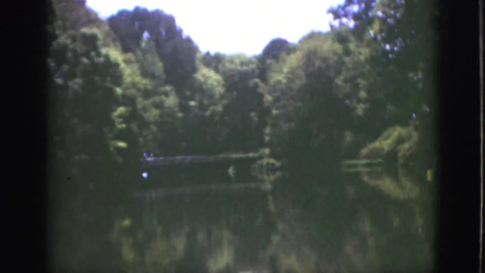 1951 Florida home-movie frame of a lake surrounded by lush trees, with soft reflections and slight 8mm exposure bloom.