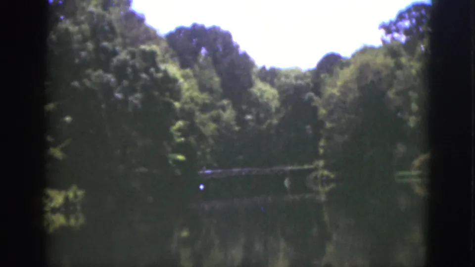 1951 Florida 8mm frame showing a leafy lakeside scene, calm reflective water, and soft home-movie focus.