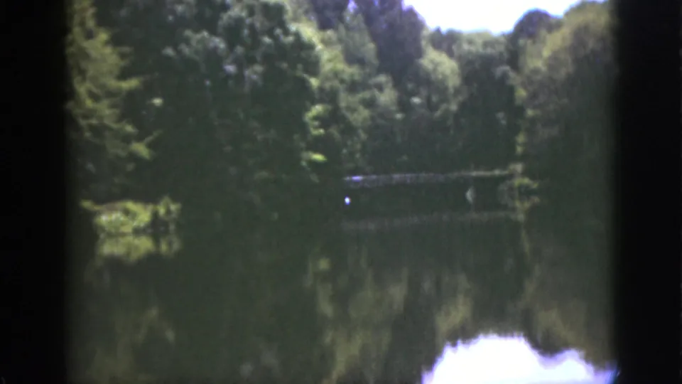 1951 Florida home-movie frame of dense vegetation along a lake, with reflected trees and bright sky at the lower edge.
