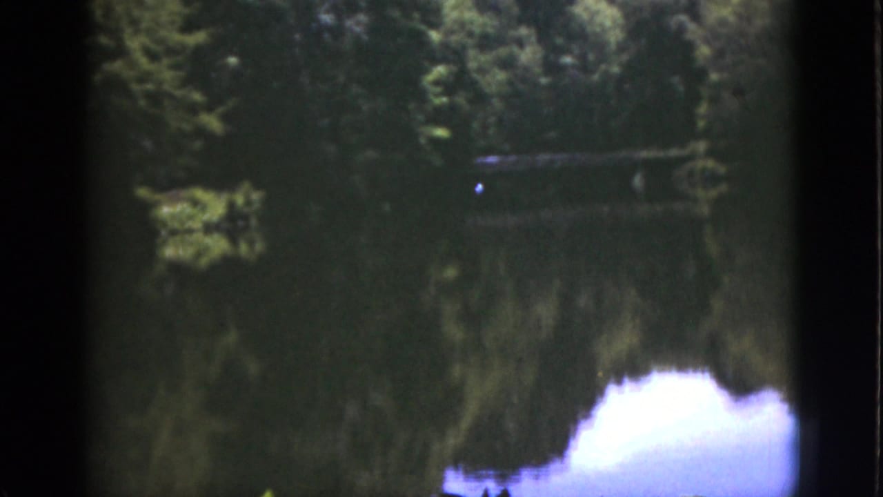 1951 Florida 8mm frame showing trees and shoreline reflected across a calm lake or pond, with soft focus and dark film edges.