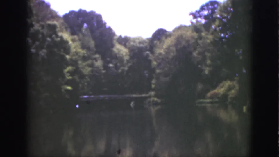 1951 Florida 8mm wide view across a calm lake or pond toward dense trees, bright sky, and a reflected wooded shoreline.