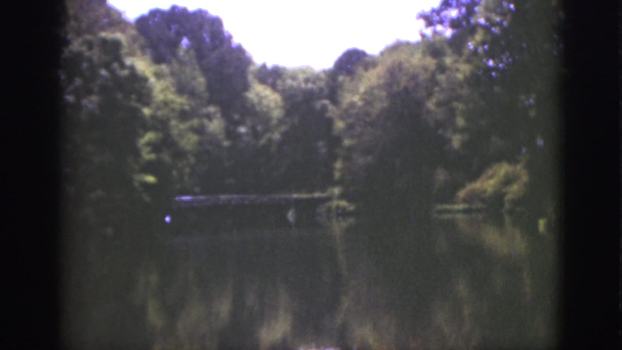 1951 Florida home-movie frame showing a shaded tree line reflected in a still lake, with soft 8mm color and dark frame edges.