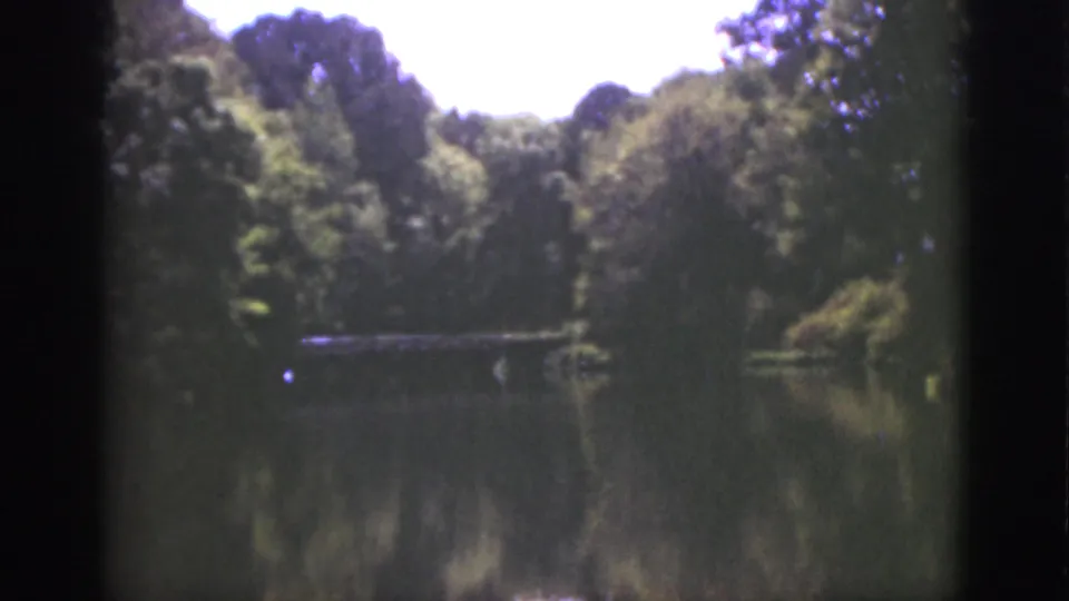 1951 Florida home-movie frame showing a shaded tree line reflected in a still lake, with soft 8mm color and dark frame edges.